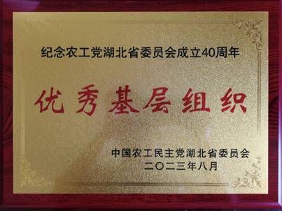优秀基层组织